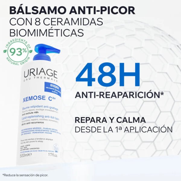 NUEVO 1